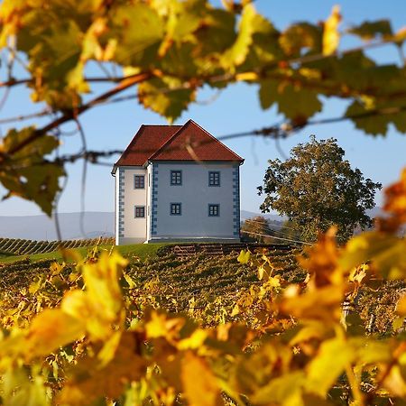 Wine Grower'S Mansion Zlati Gric Leilighet Slovenske Konjice Eksteriør bilde