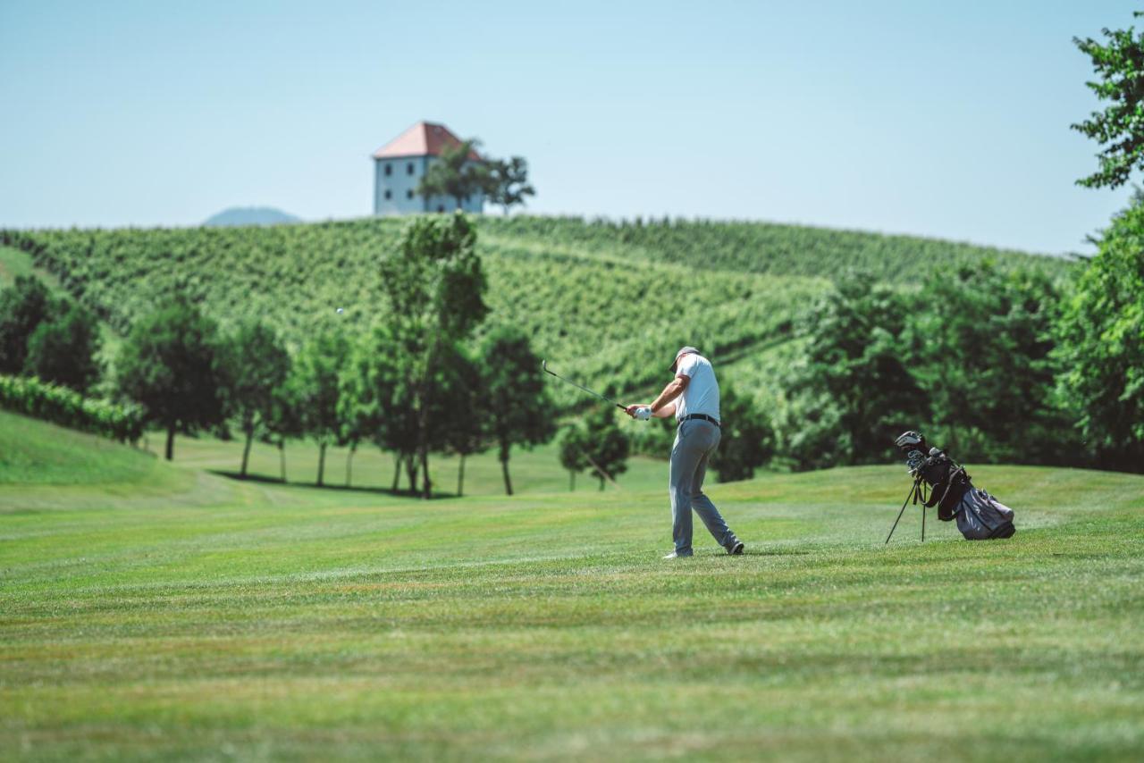 Wine Grower'S Mansion Zlati Gric Leilighet Slovenske Konjice Eksteriør bilde