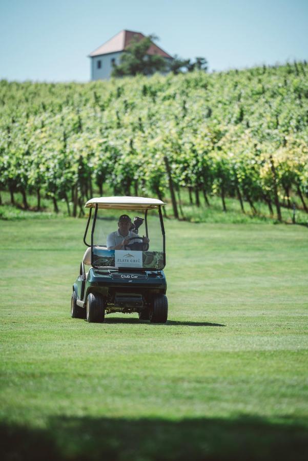 Wine Grower'S Mansion Zlati Gric Leilighet Slovenske Konjice Eksteriør bilde