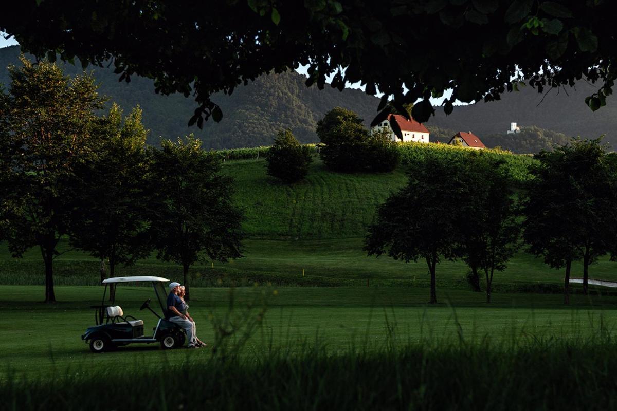 Wine Grower'S Mansion Zlati Gric Leilighet Slovenske Konjice Eksteriør bilde