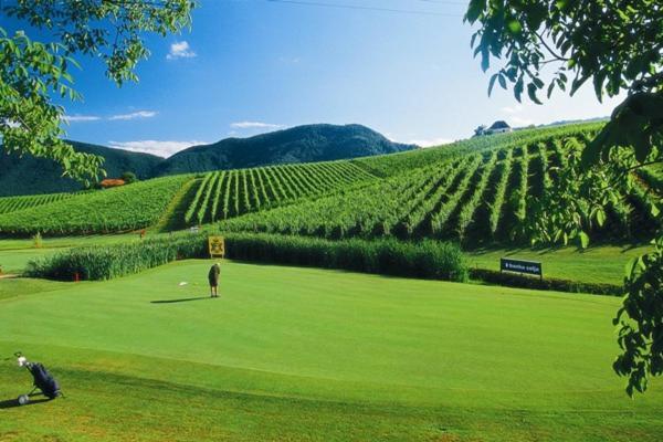 Wine Grower'S Mansion Zlati Gric Leilighet Slovenske Konjice Eksteriør bilde