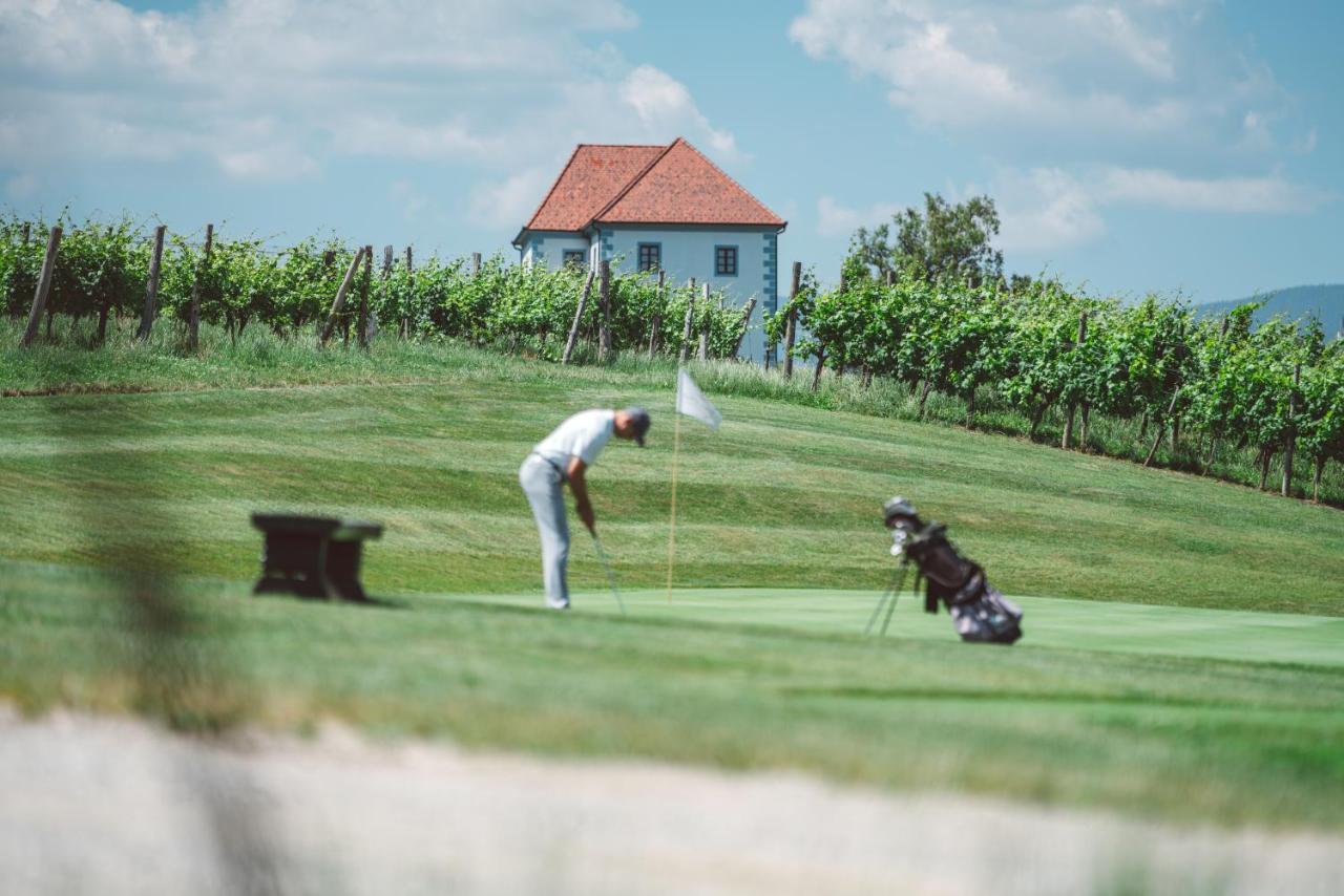 Wine Grower'S Mansion Zlati Gric Leilighet Slovenske Konjice Eksteriør bilde