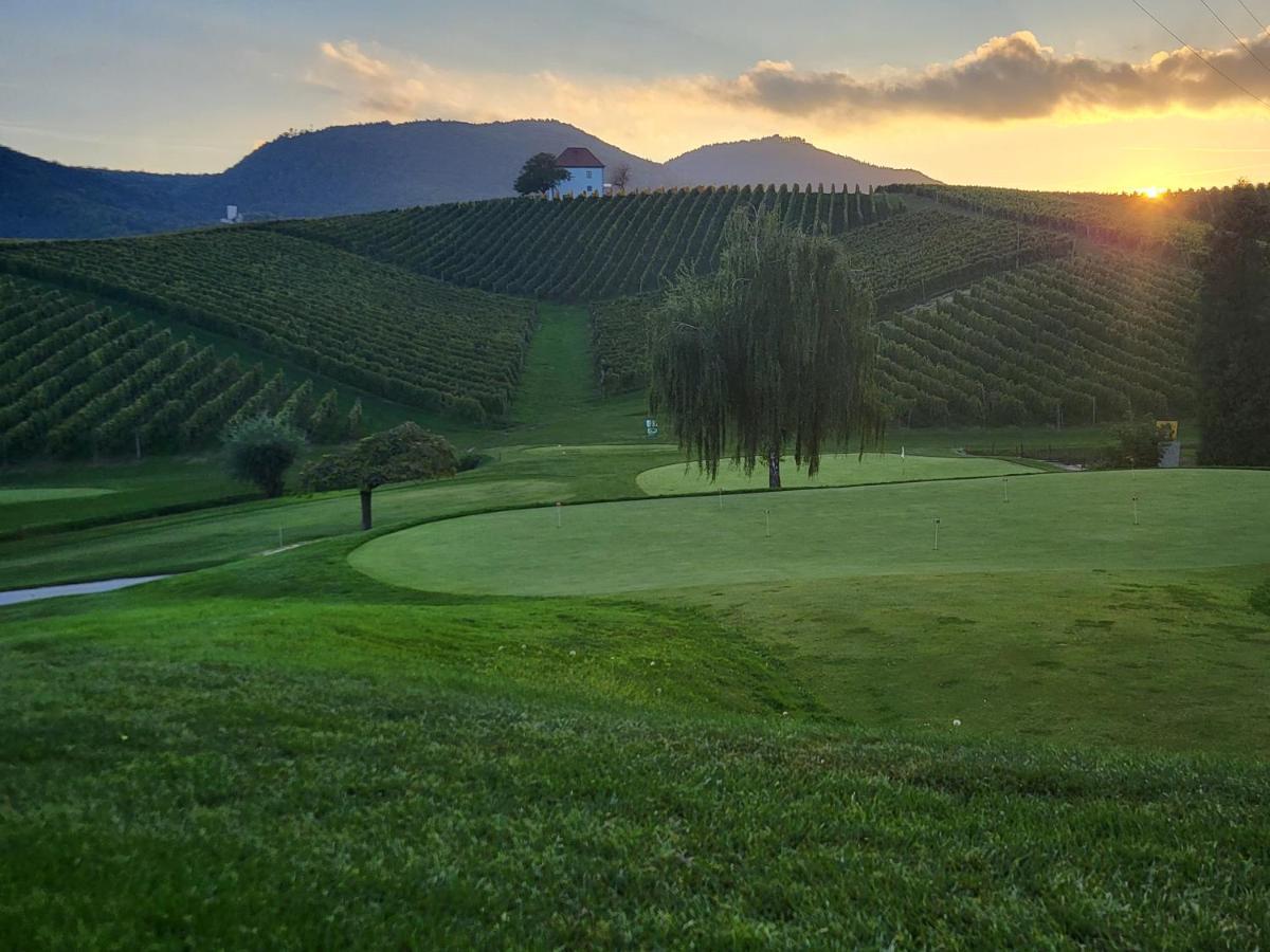 Wine Grower'S Mansion Zlati Gric Leilighet Slovenske Konjice Eksteriør bilde