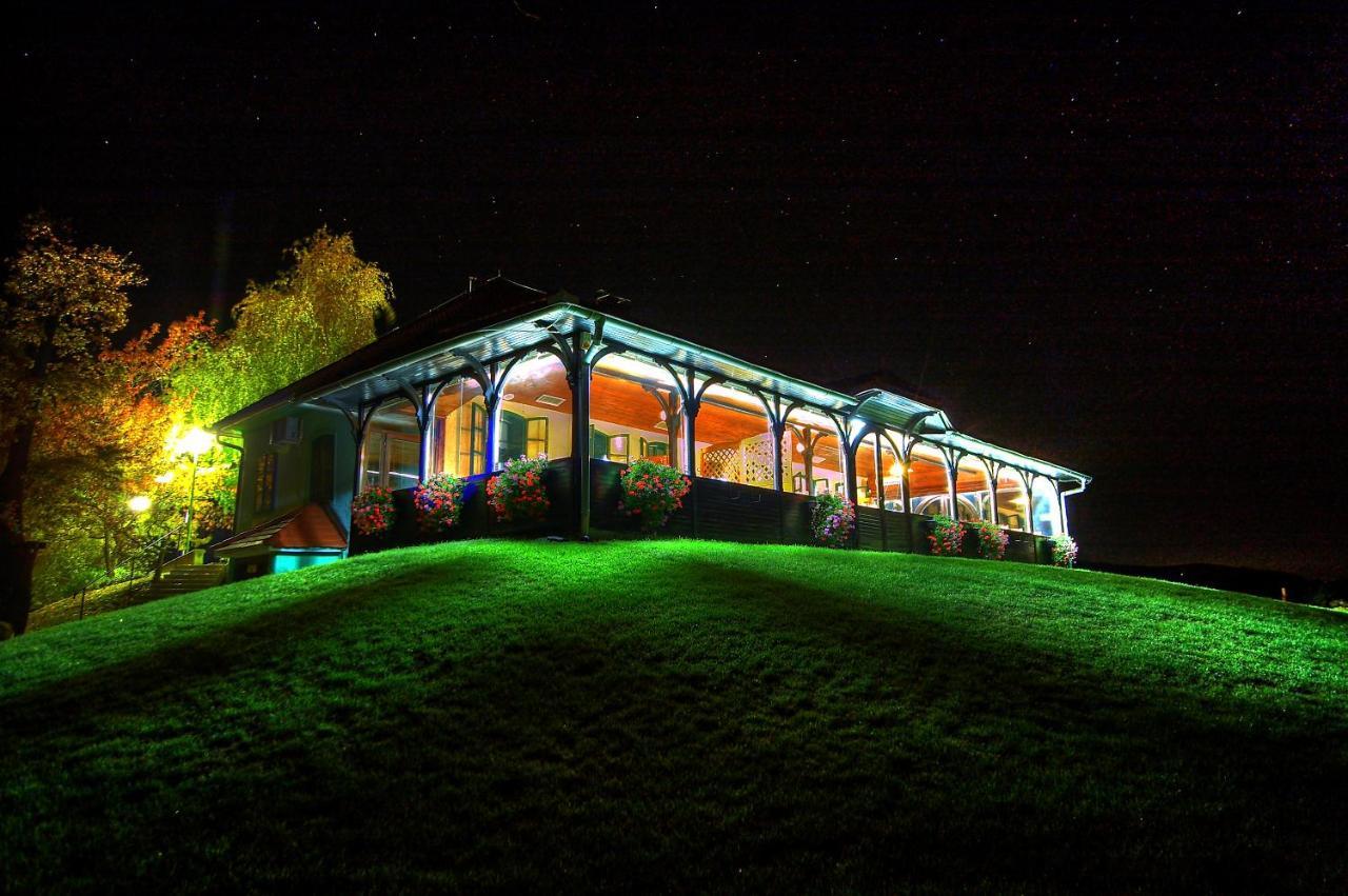 Wine Grower'S Mansion Zlati Gric Leilighet Slovenske Konjice Eksteriør bilde