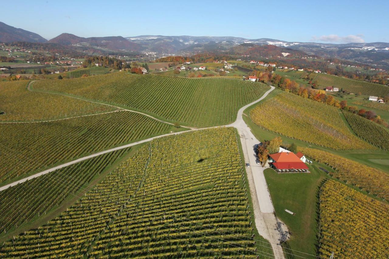 Wine Grower'S Mansion Zlati Gric Leilighet Slovenske Konjice Eksteriør bilde