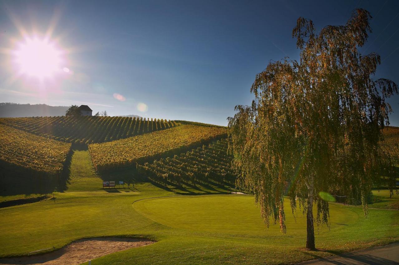 Wine Grower'S Mansion Zlati Gric Leilighet Slovenske Konjice Eksteriør bilde