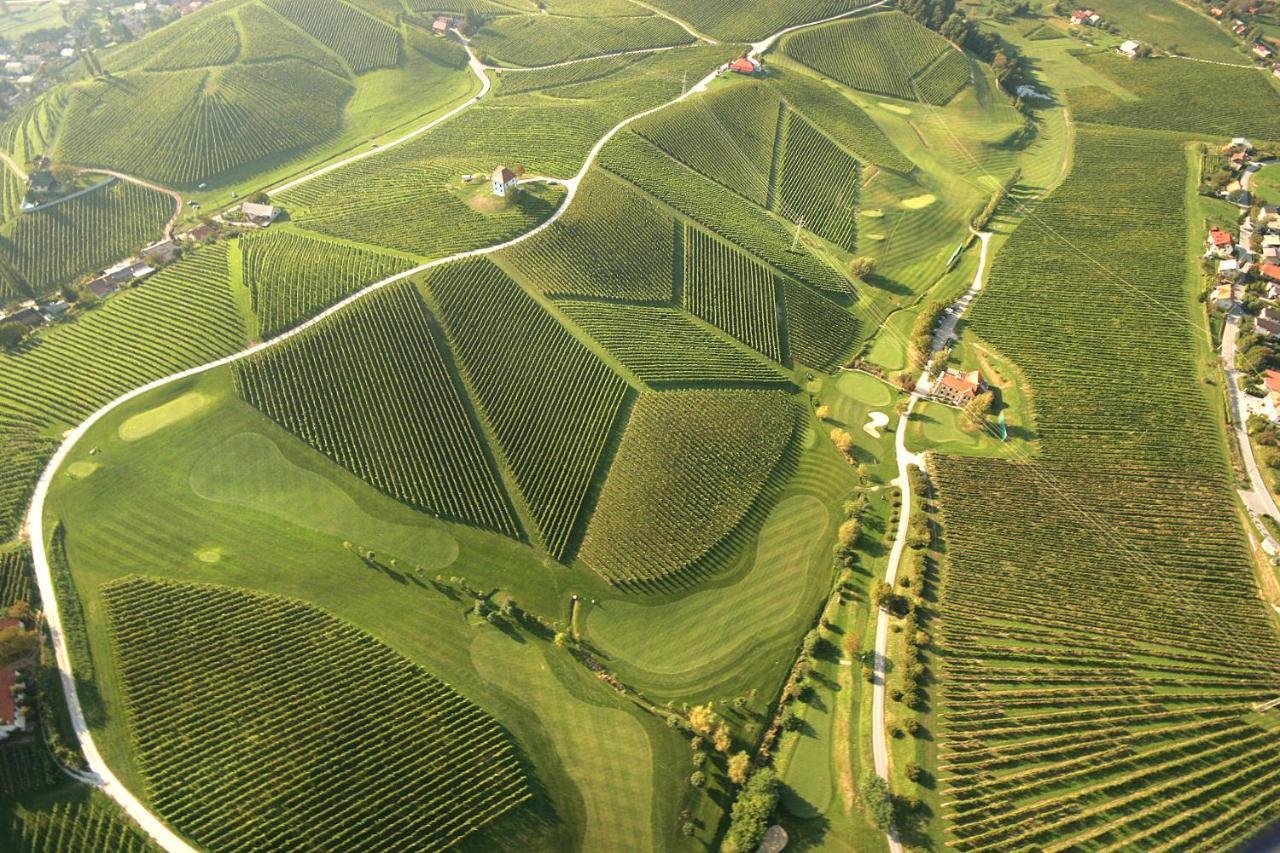 Wine Grower'S Mansion Zlati Gric Leilighet Slovenske Konjice Eksteriør bilde