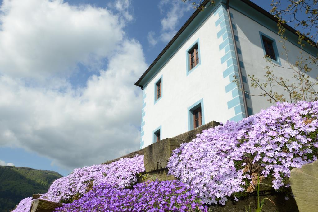 Wine Grower'S Mansion Zlati Gric Leilighet Slovenske Konjice Eksteriør bilde