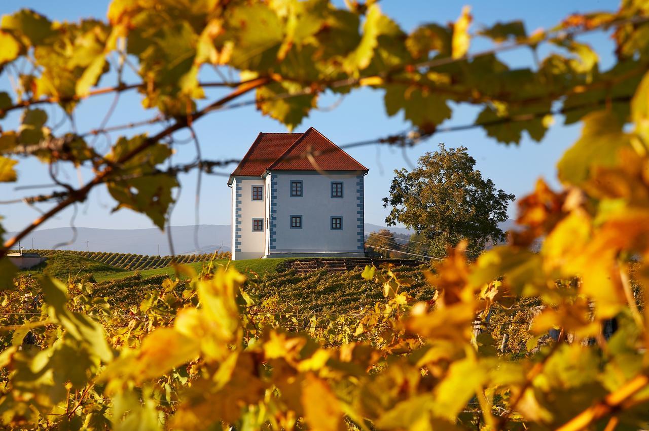 Wine Grower'S Mansion Zlati Gric Leilighet Slovenske Konjice Eksteriør bilde