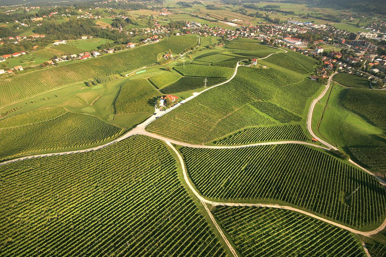 Wine Grower'S Mansion Zlati Gric Leilighet Slovenske Konjice Eksteriør bilde