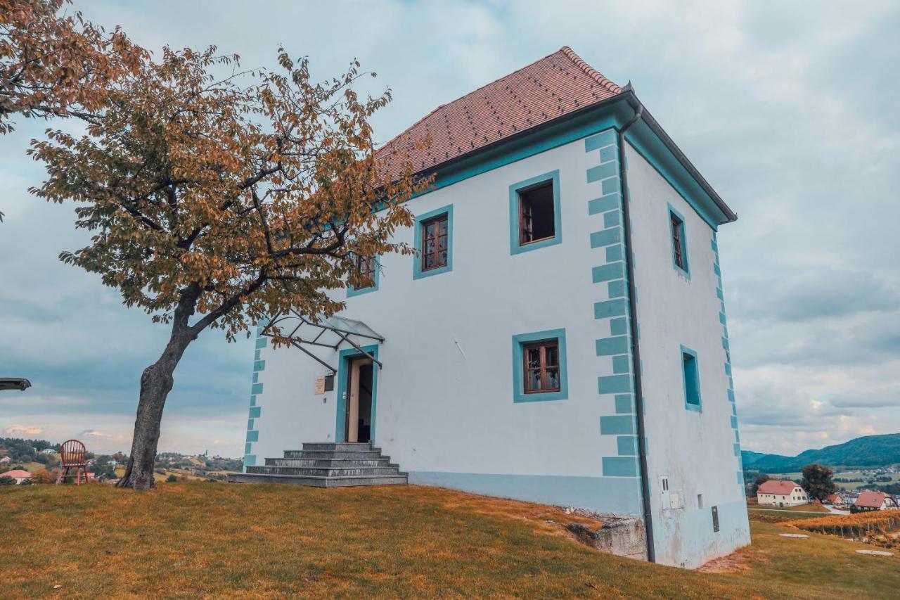 Wine Grower'S Mansion Zlati Gric Leilighet Slovenske Konjice Eksteriør bilde