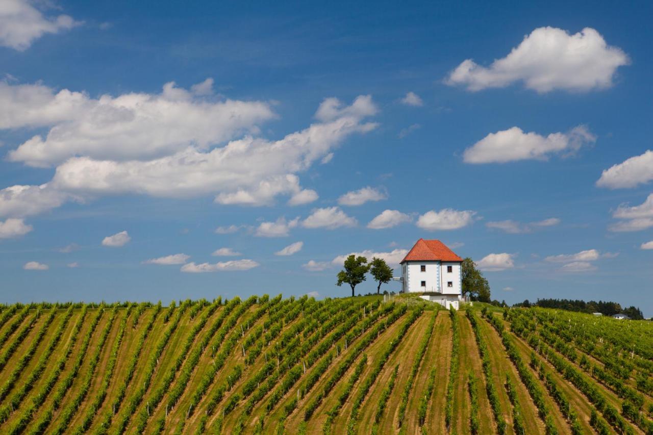 Wine Grower'S Mansion Zlati Gric Leilighet Slovenske Konjice Eksteriør bilde